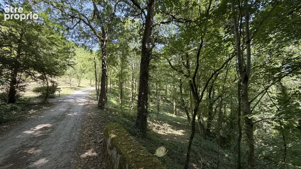 Propriété de caractère avec activité de gîtes sur  environ 10 hectares . - photo 42
