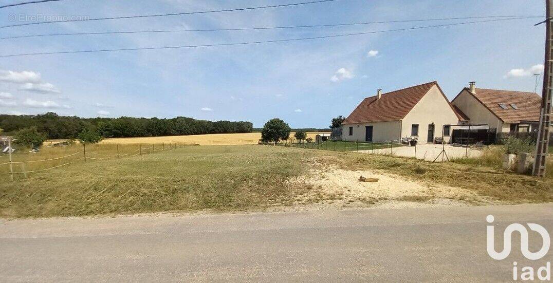 Photo 1 - Terrain à VILLEMARECHAL