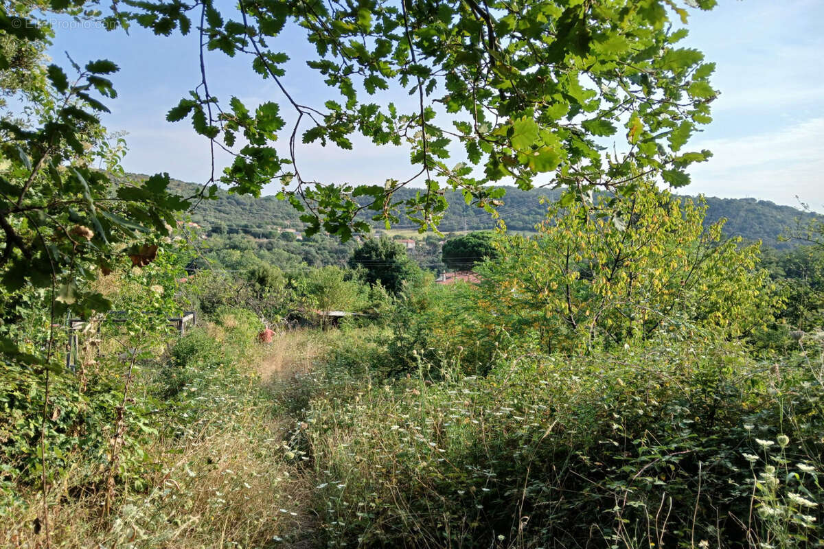 Terrain à REYNES