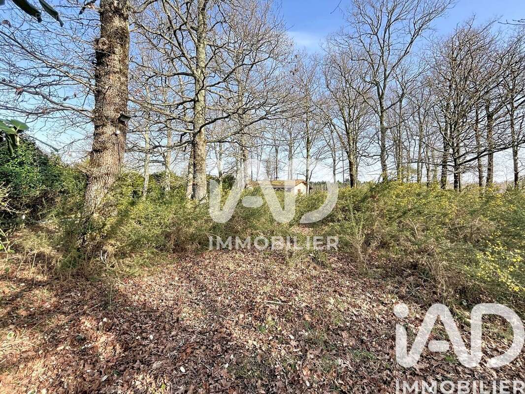 Photo 3 - Maison à VENDAYS-MONTALIVET