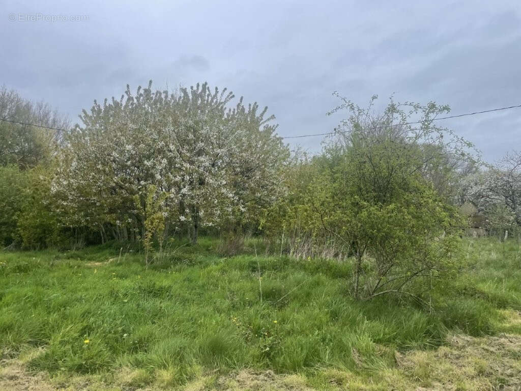 Maison à MONDOUBLEAU