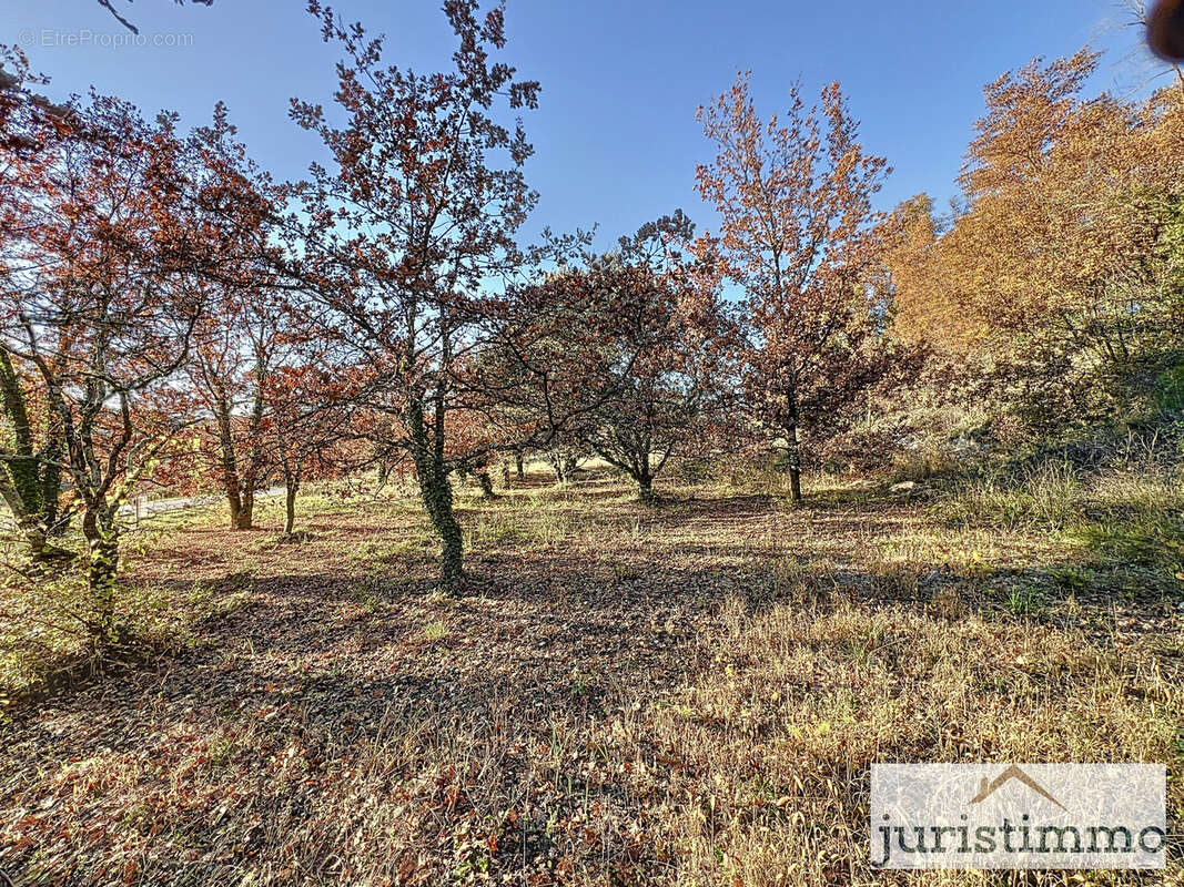 Terrain à ENTRECHAUX