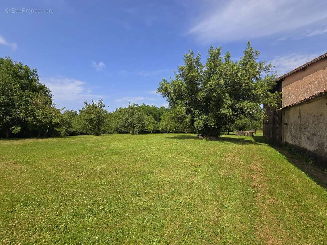 Propriété avec 2 maisons , dépendances et 1 hectare de terrain - photo 17