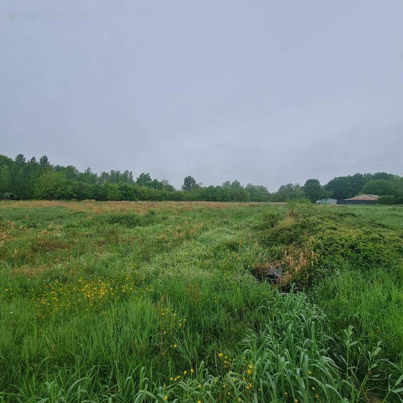 Terrain à MENESPLET