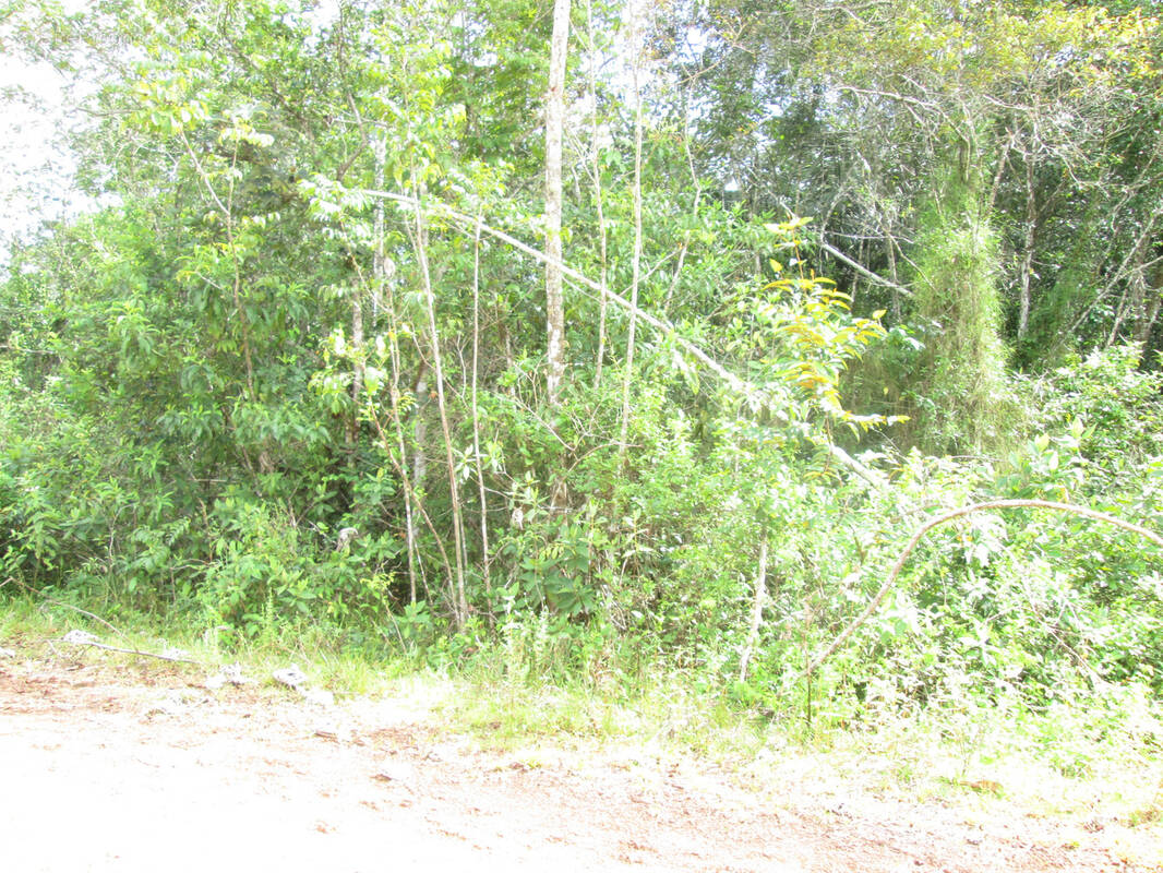 Terrain à SAINT-GEORGES