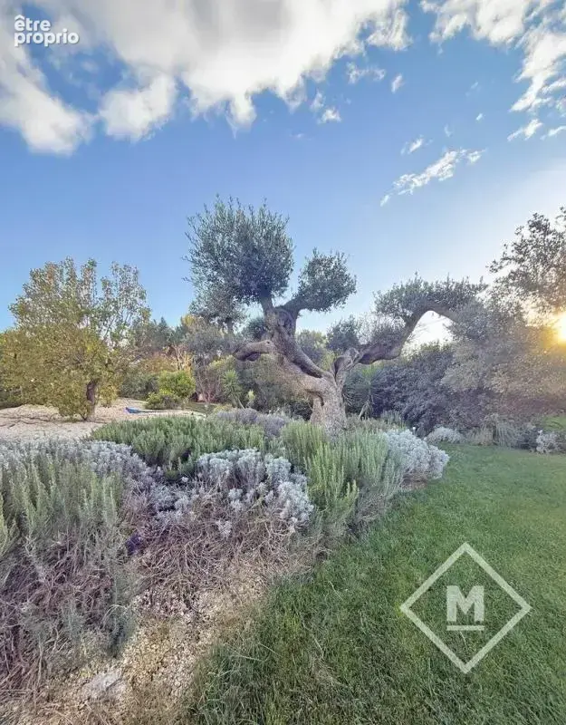Maison d’Architecte de 250 m² dans un Écrin Arboré de 3 000 m² - photo 10