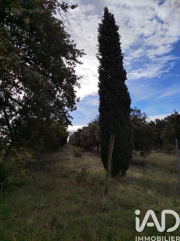 Photo 5 - Terrain à CAIRANNE