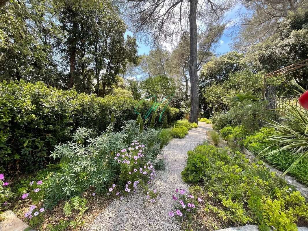 Maison à ROQUEFORT-LES-PINS