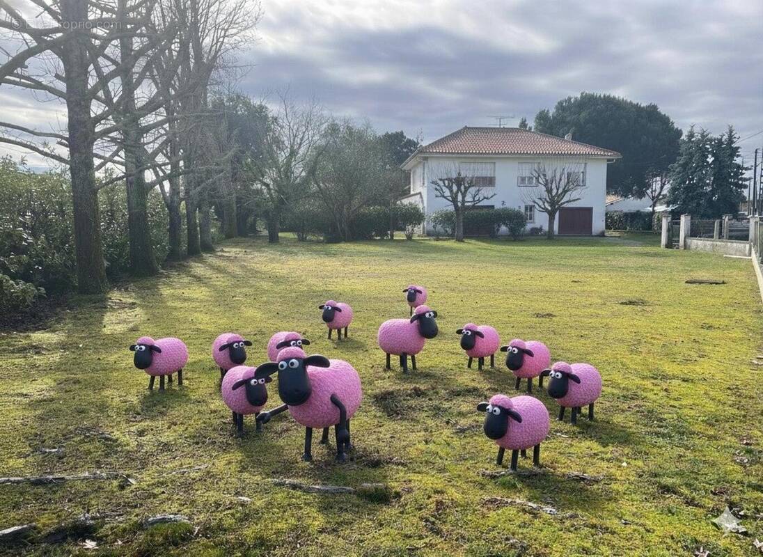 Photo 1 - Terrain à SAINT-MEDARD-EN-JALLES