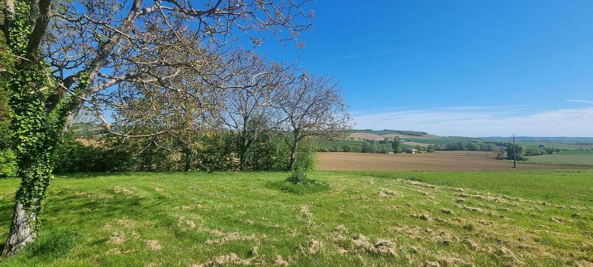 Photo 2 - Terrain à MARIGNAC
