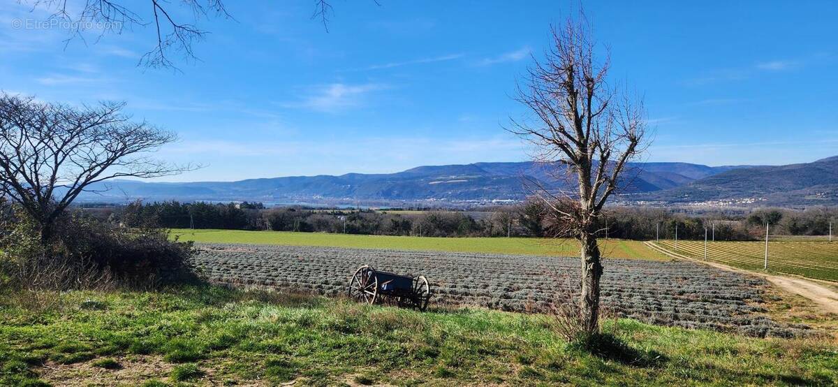 Photo 1 - Maison à SAVASSE
