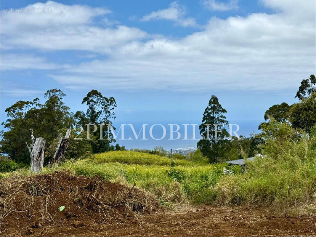 Terrain à SAINT-PIERRE