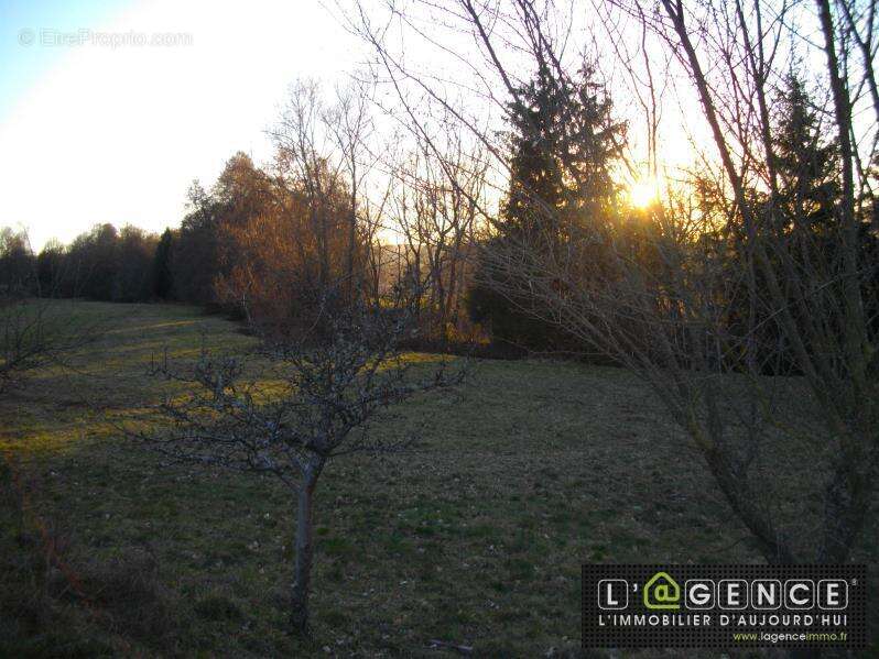 Terrain à SAULCY-SUR-MEURTHE