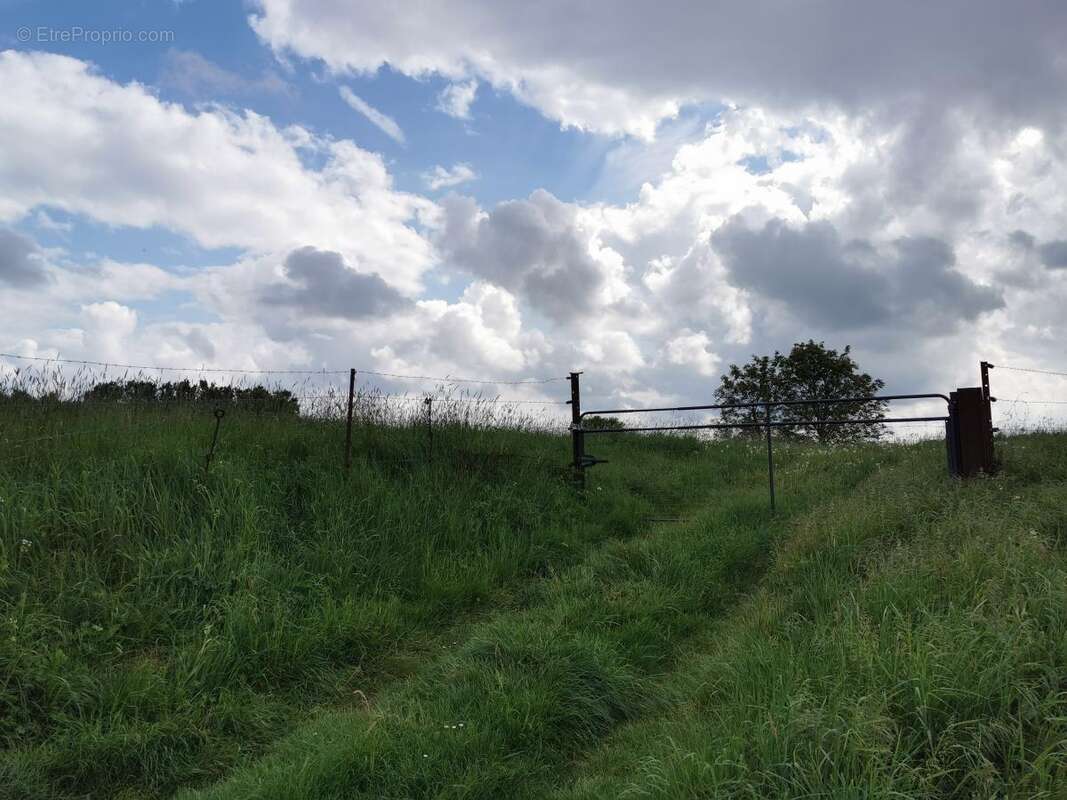 Terrain à LAGNICOURT-MARCEL
