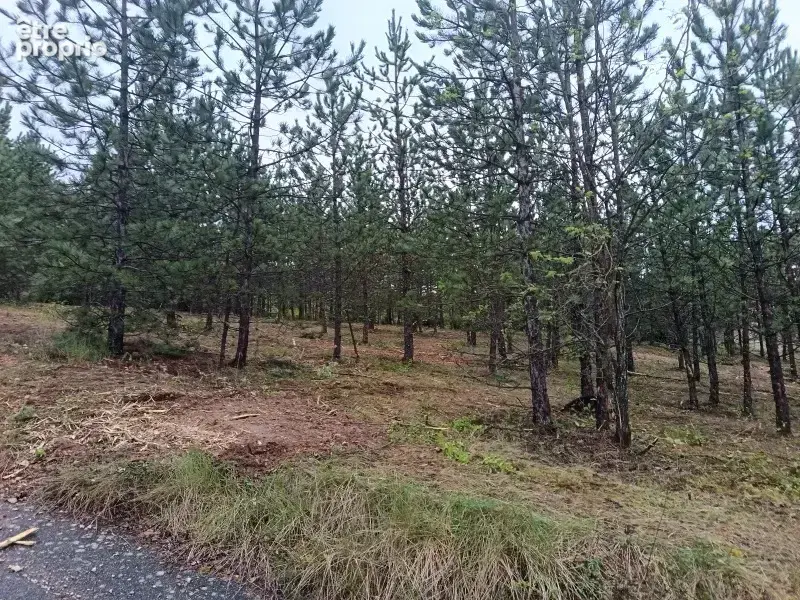 Terrain 400 m² à Mollans-Sur-Ouveze  - photo 5