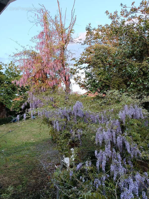 Maison à MAISNIL-LES-RUITZ