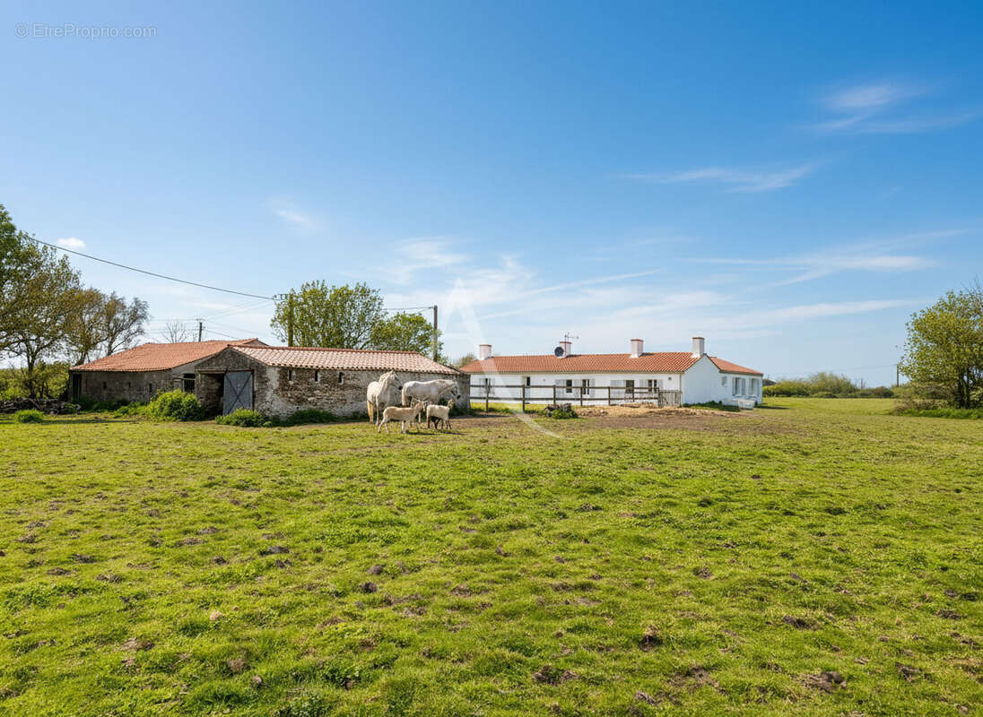 Maison à SAINT-URBAIN