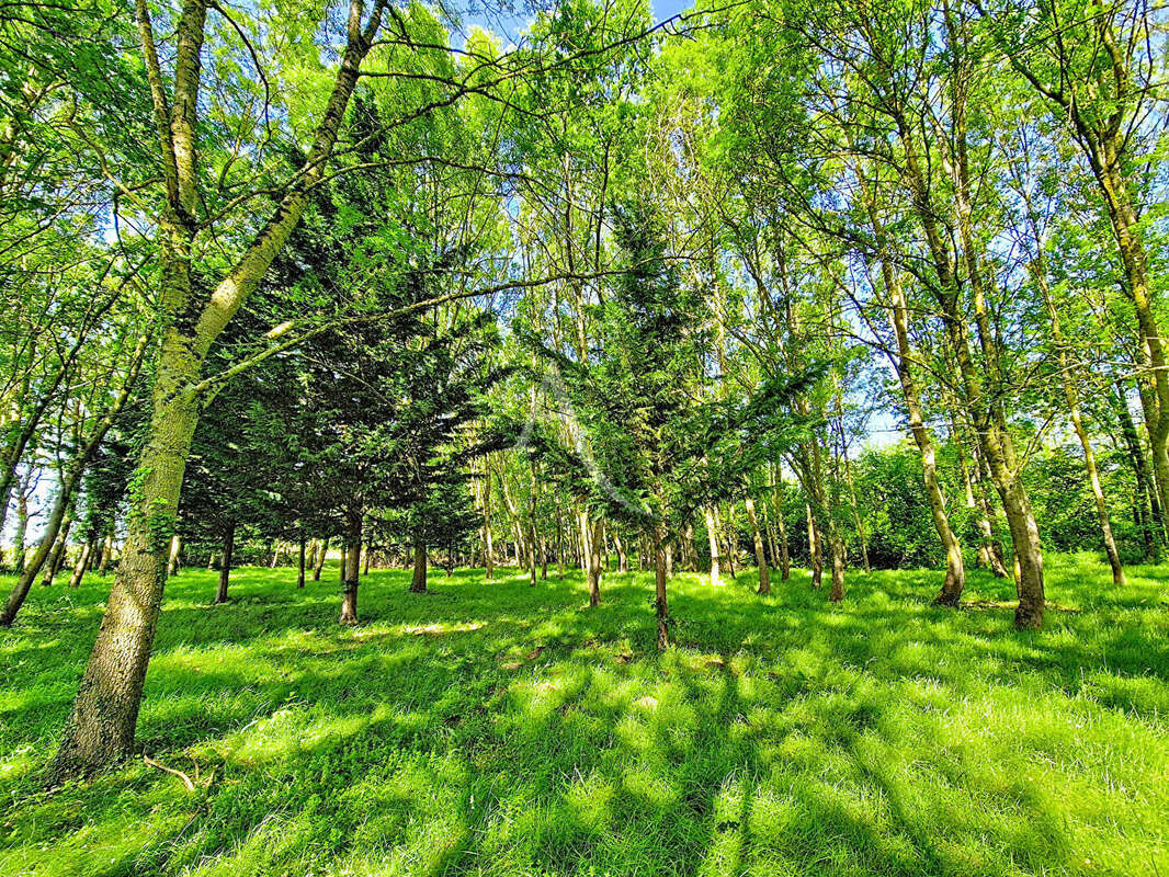 Terrain à CHAVAGNES