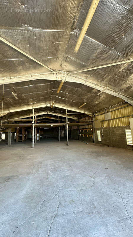 Commerce à SAINT-FRANCOIS