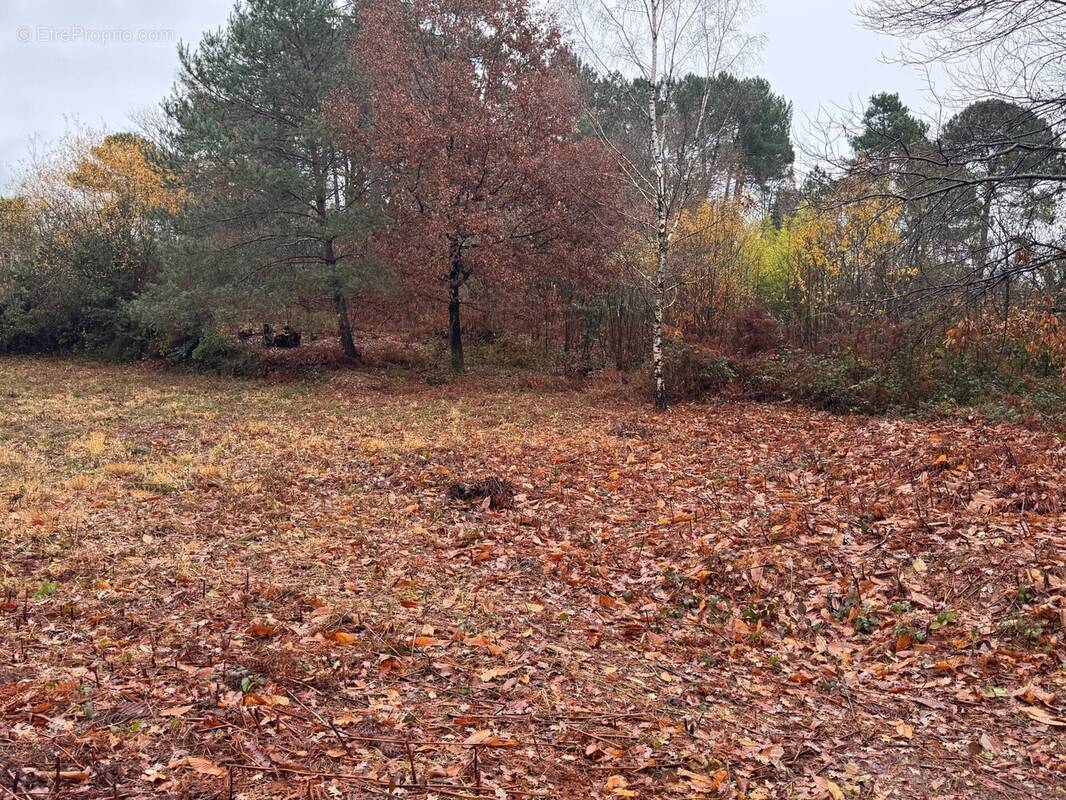 Terrain à CHANCELADE