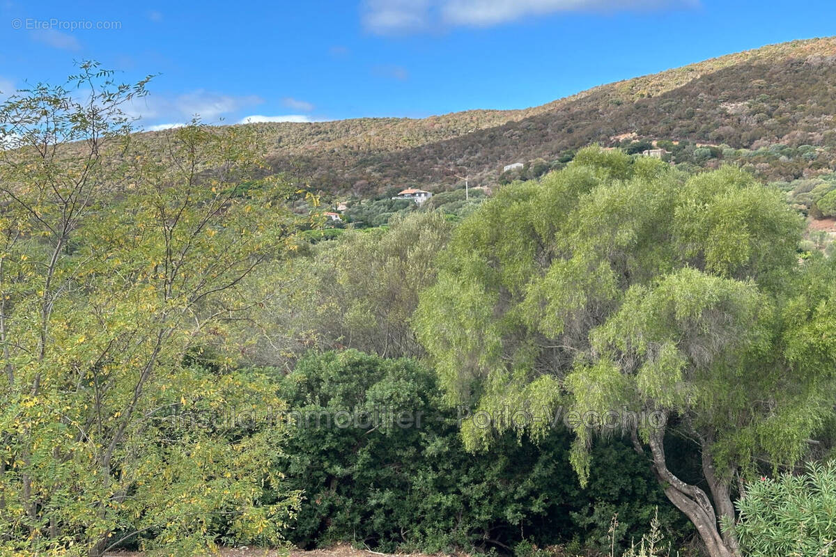 Maison à PORTO-VECCHIO