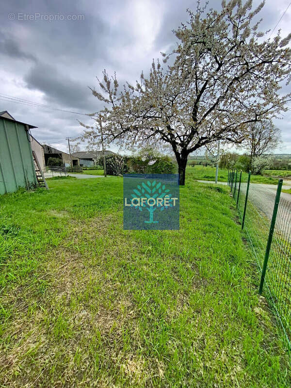 Maison à LA DOMINELAIS