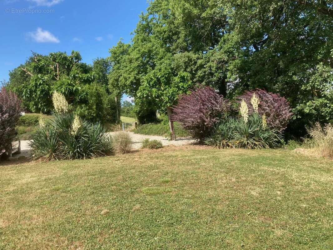 Deux maisons de caractère près de Cordes-sur-Ciel avec piscine et vues panoramiques - photo 18