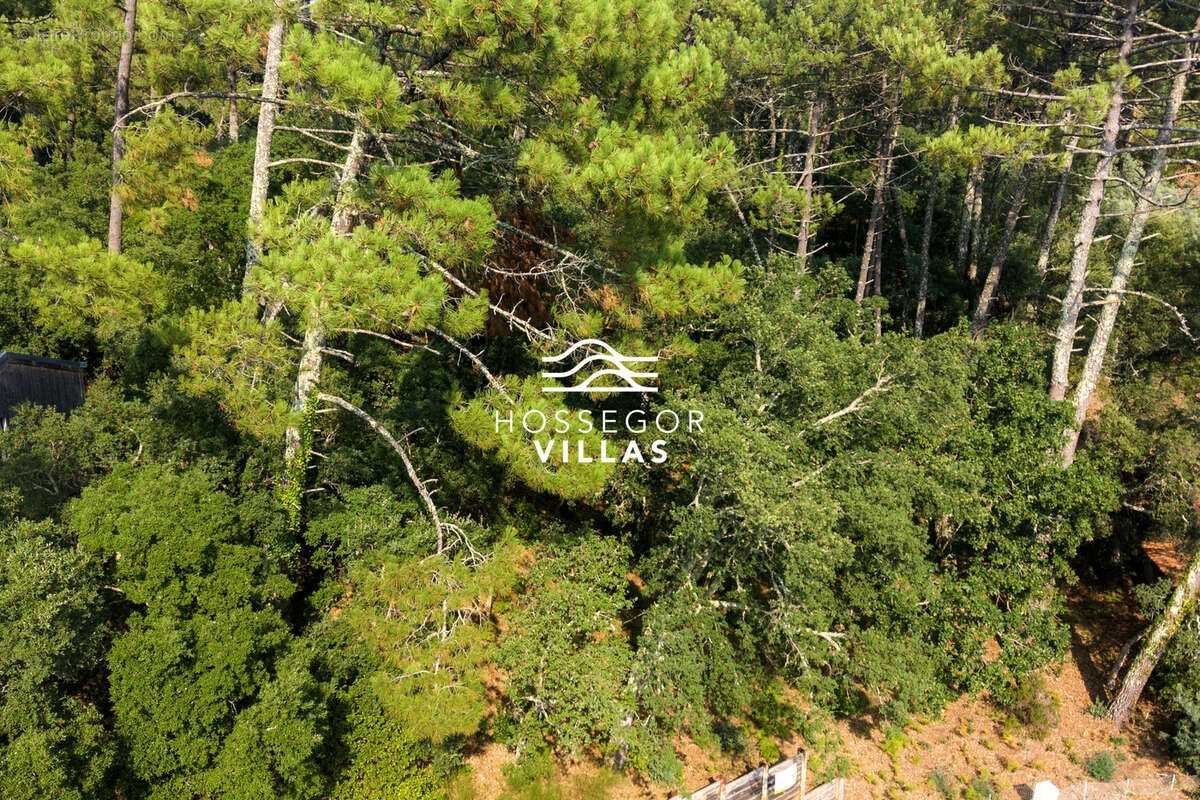 Villa pinha - photo 3