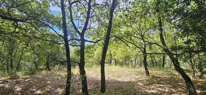 Terrain à construire de 2 800 m² – Vue dégagée, calme, plein sud - photo 2