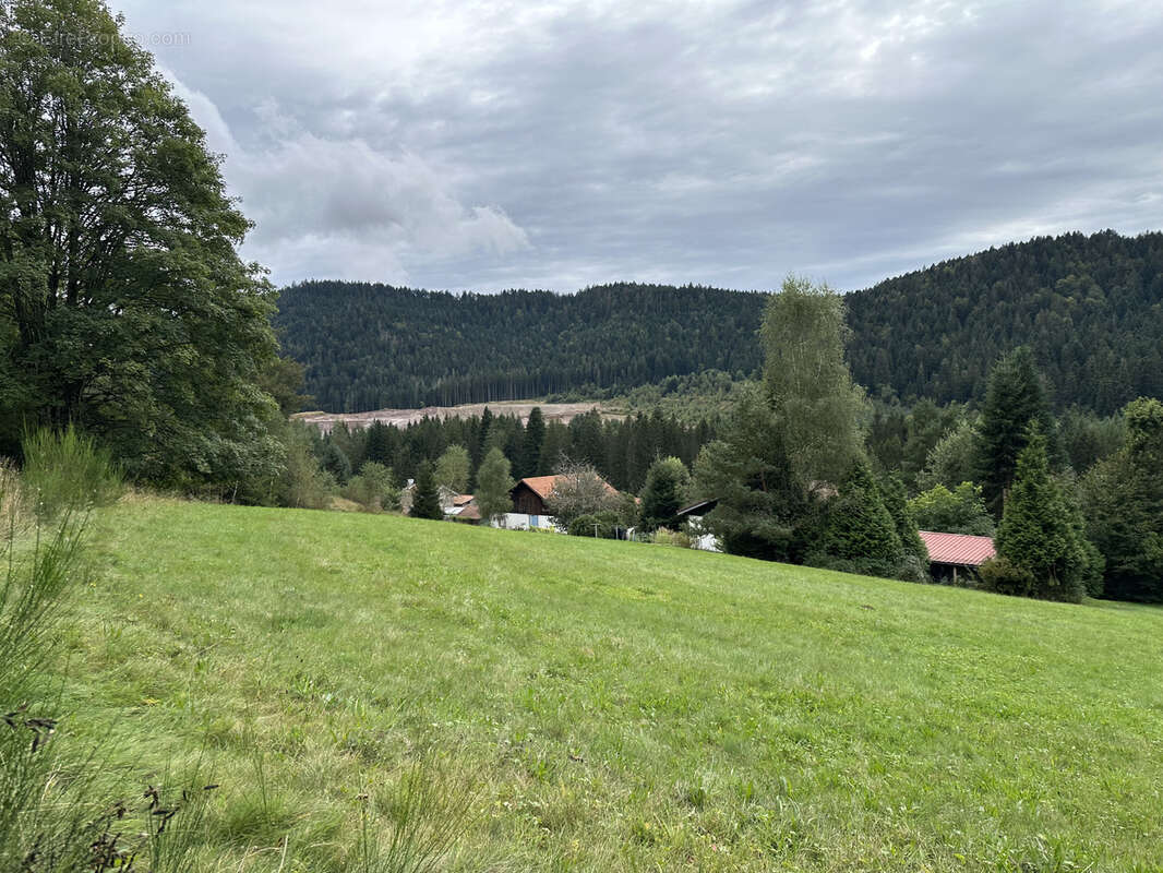 Terrain à GERARDMER