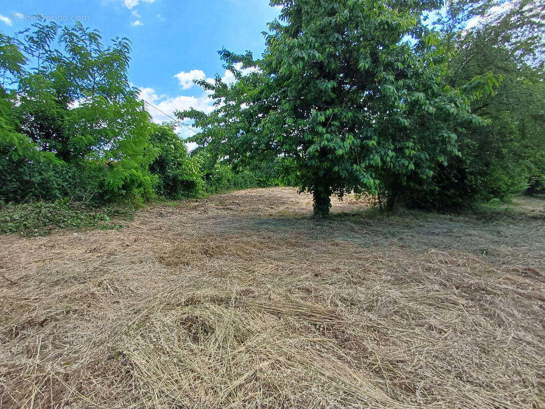 Photo 3 - Terrain à MOUZEUIL-SAINT-MARTIN