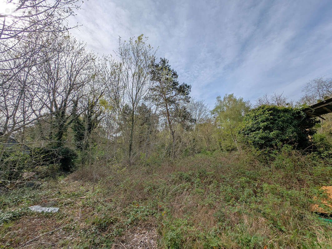 Maison à VILLEFARGEAU