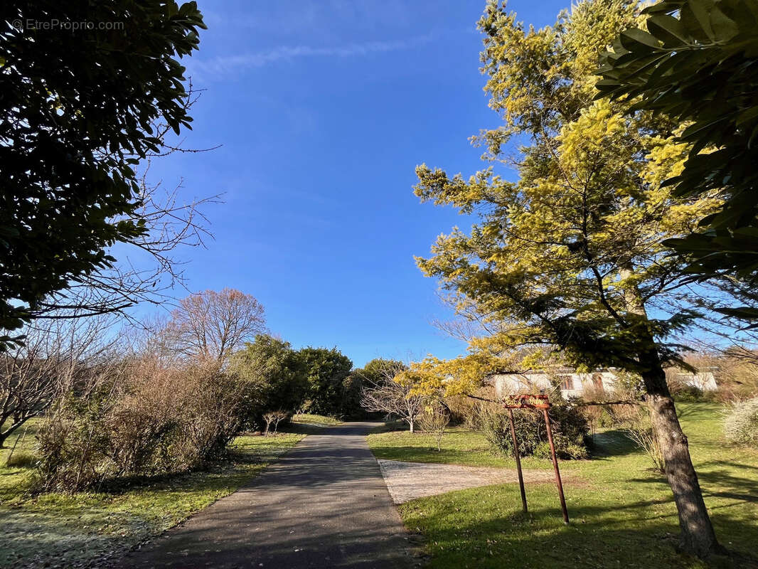 Maison à MONTREUIL-BELLAY