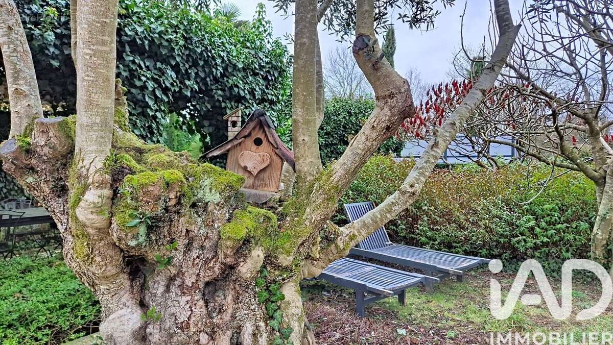 Photo 6 - Maison à MILLY-LA-FORET