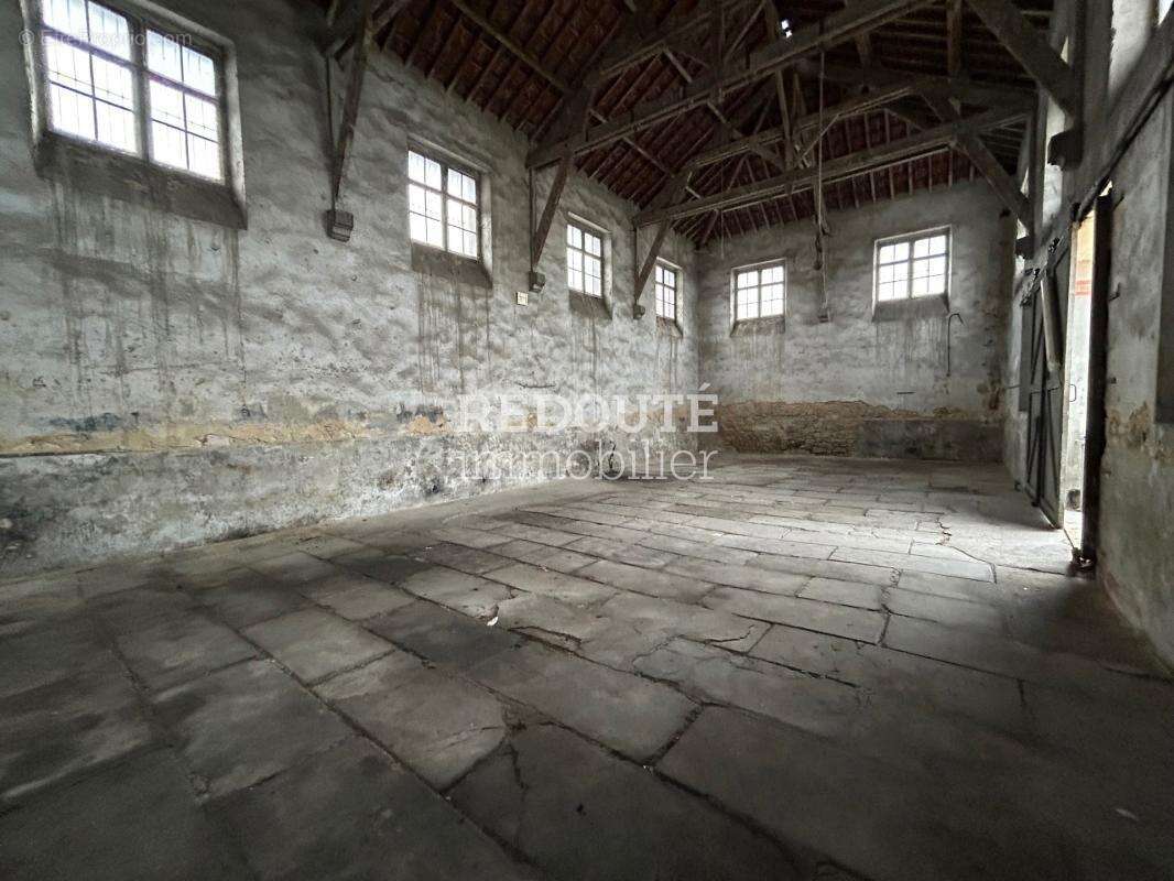 Commerce à SAINT-BRICE-COURCELLES