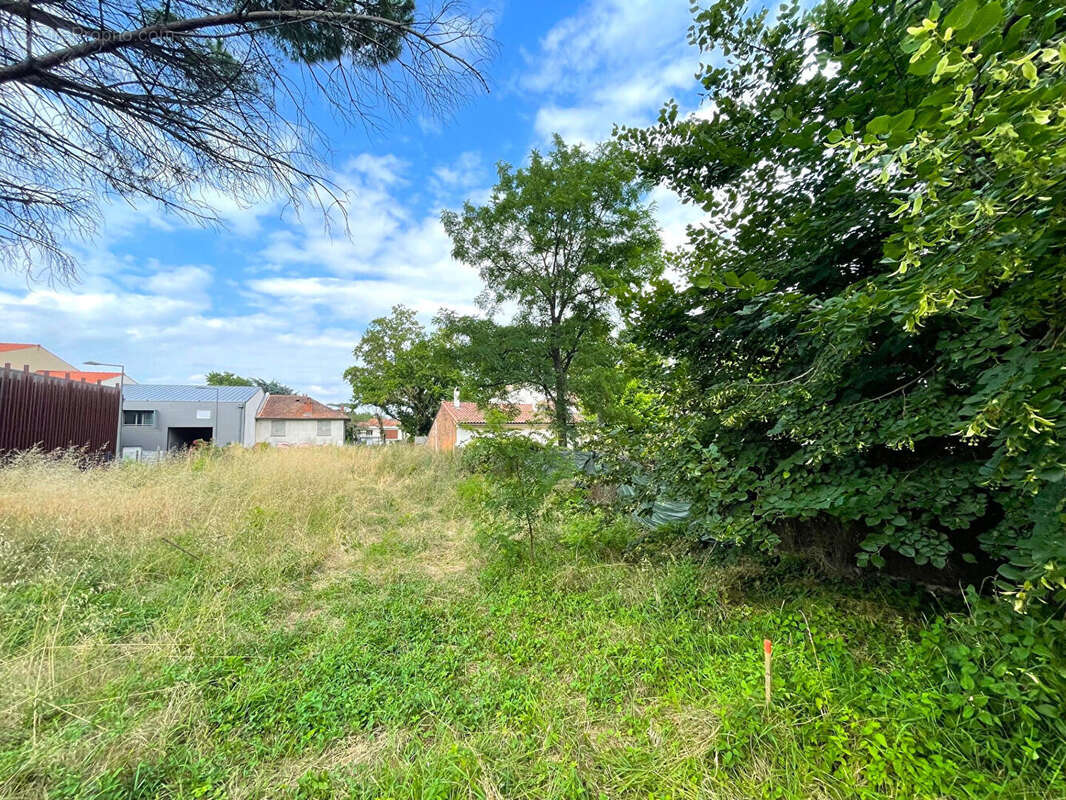 Maison à CASTANET-TOLOSAN