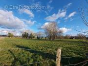 Terrain à BOISSEY-LE-CHATEL