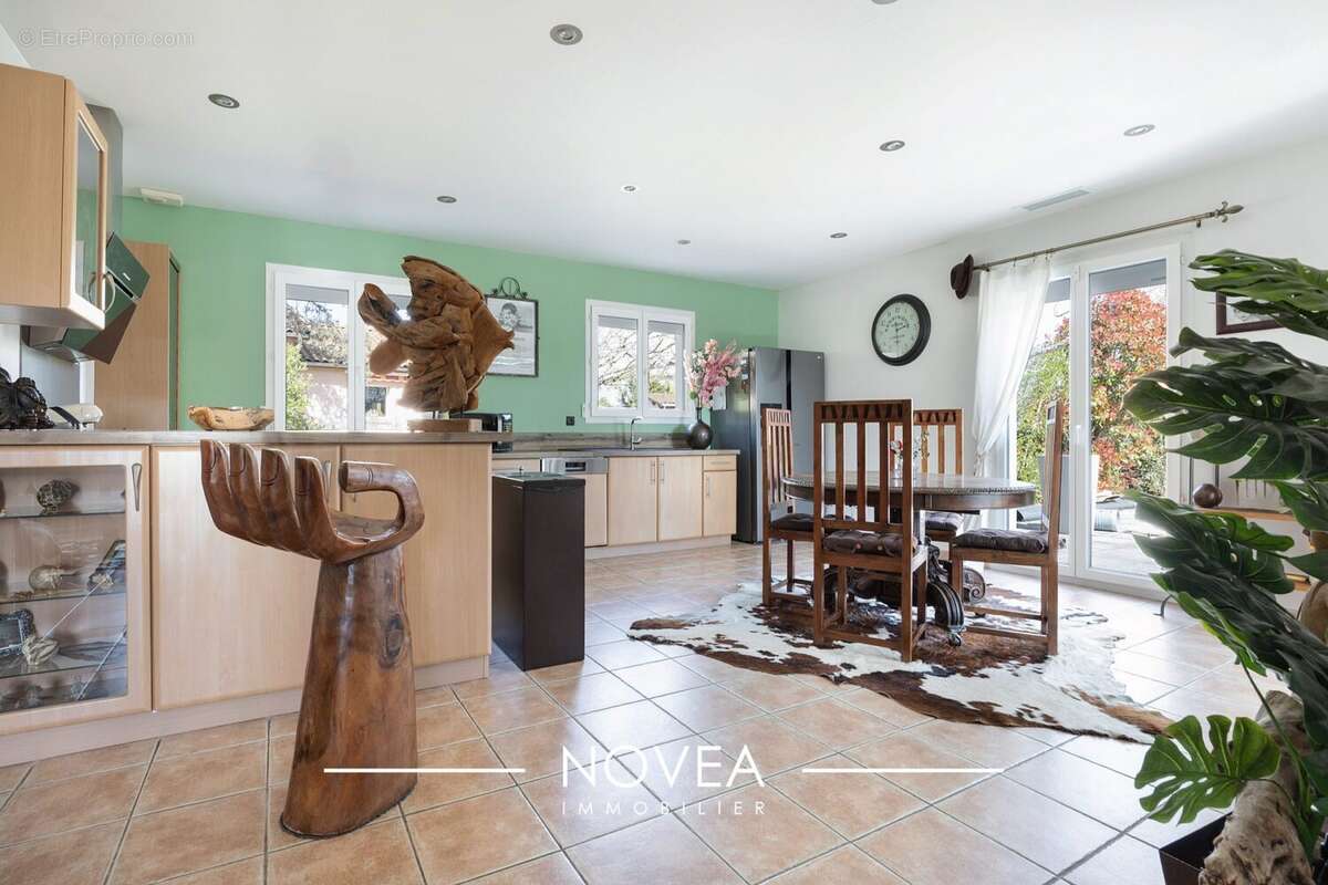 Maison à VILLIEU-LOYES-MOLLON