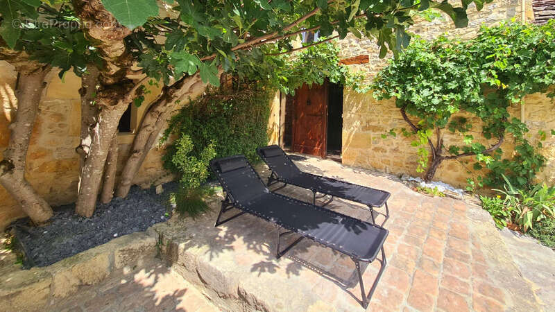 Ensemble en pierre totalemernt rénové 220m² - 12 couchages - activité gîte immédiate - Périgord Noir - photo 27
