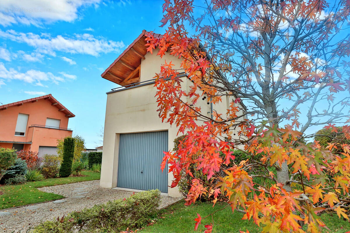 Maison à BRIENNE-LE-CHATEAU
