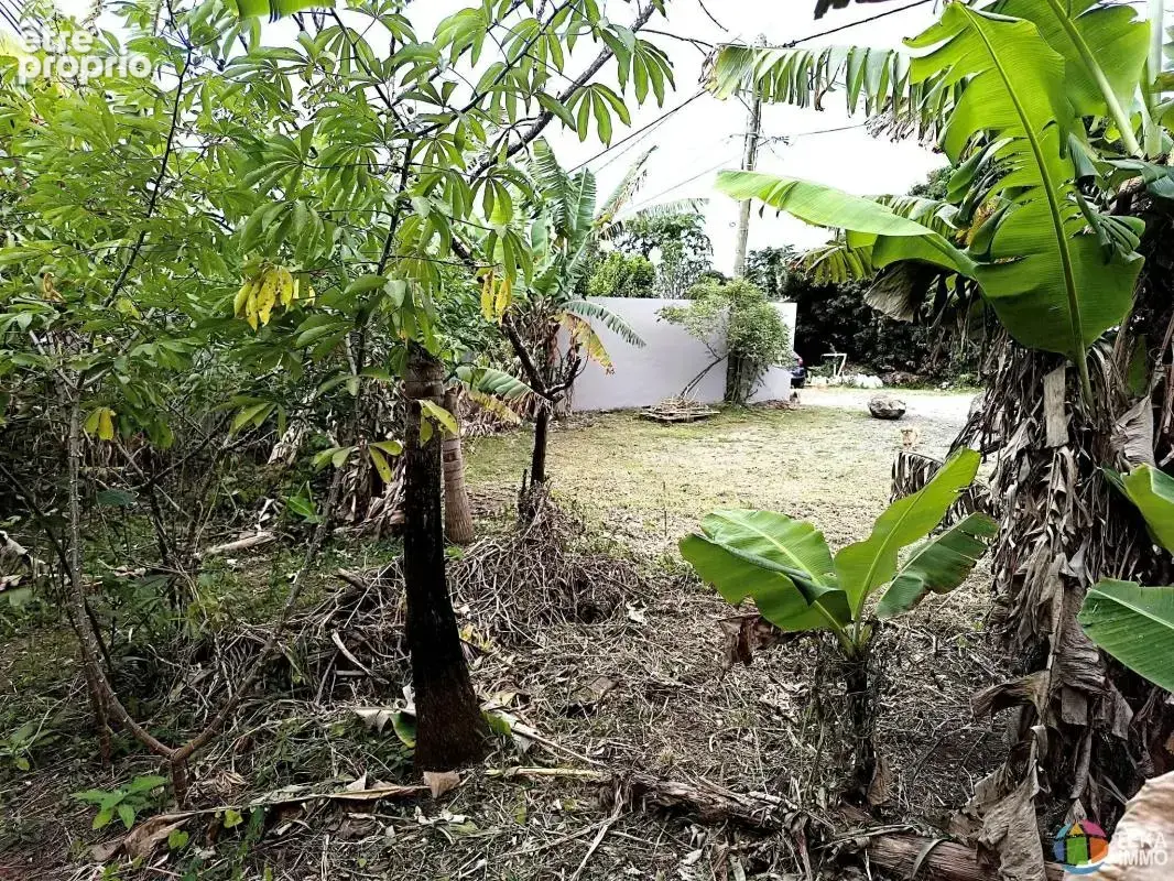 Terrain a vendre Saint André 97440 - photo 2