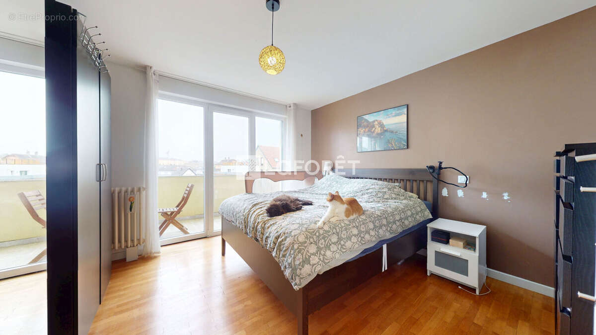 Appartement à SCHILTIGHEIM