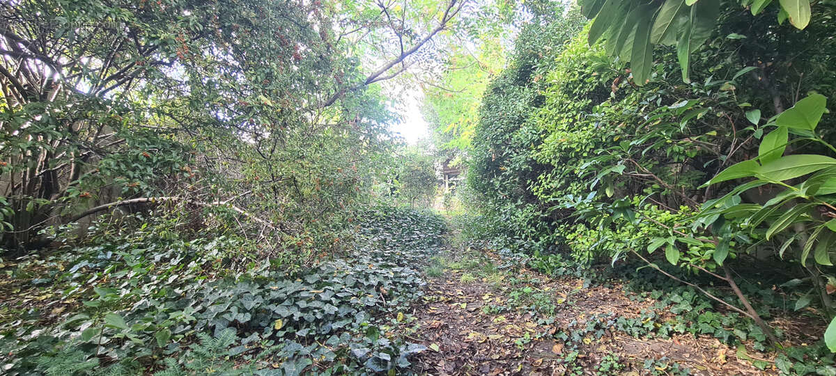 Maison à ARGENTEUIL