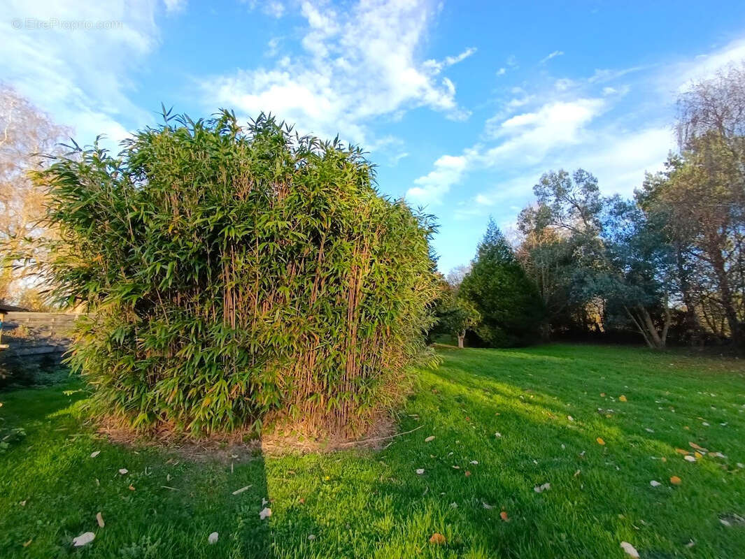 Maison à PLESSIX-BALISSON