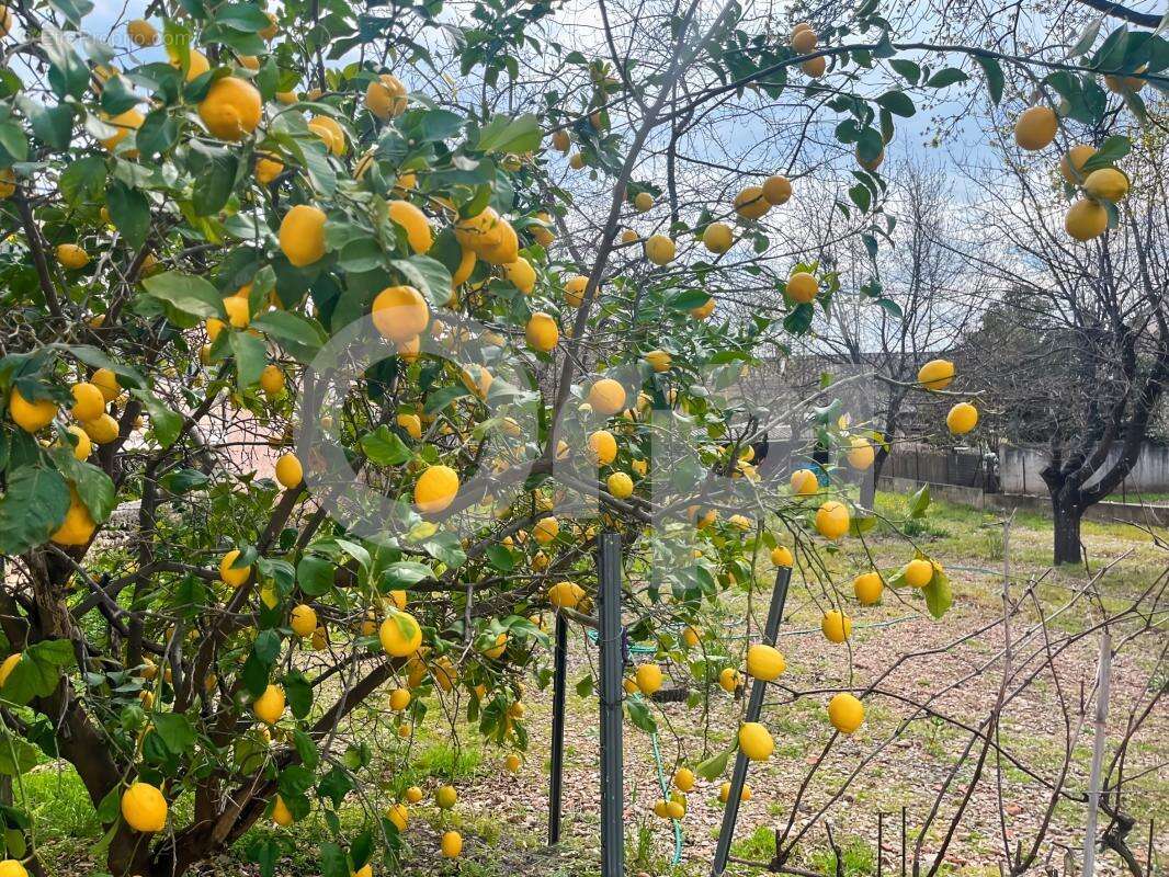Maison à PUGET-VILLE