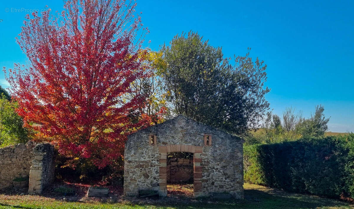 jardin - Maison à LABECEDE-LAURAGAIS