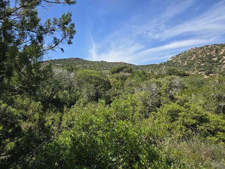 Maison à PORTO-VECCHIO