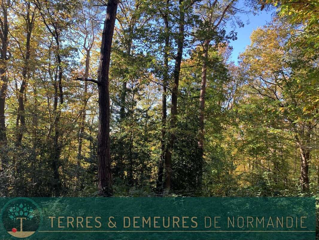 Terrain à BEUZEVILLE