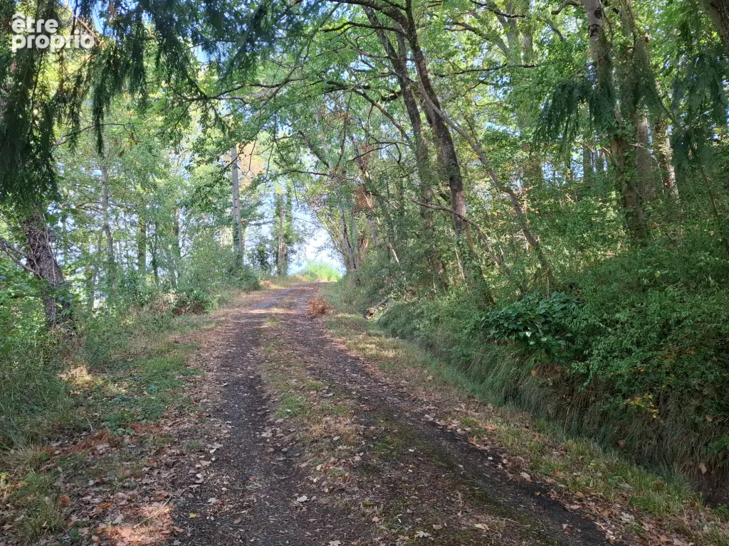Pays de Tronçais maisonnette isolée en bord de ruisseau - photo 12