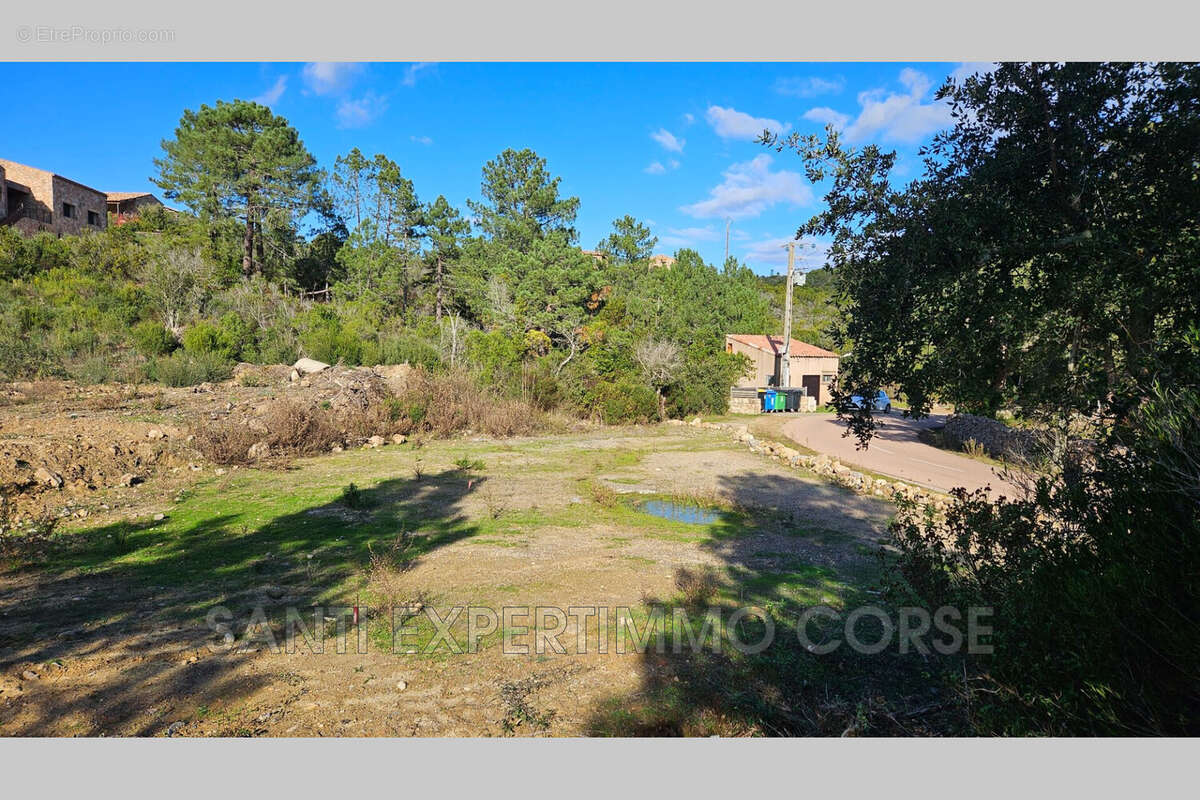 Terrain à SARI-SOLENZARA